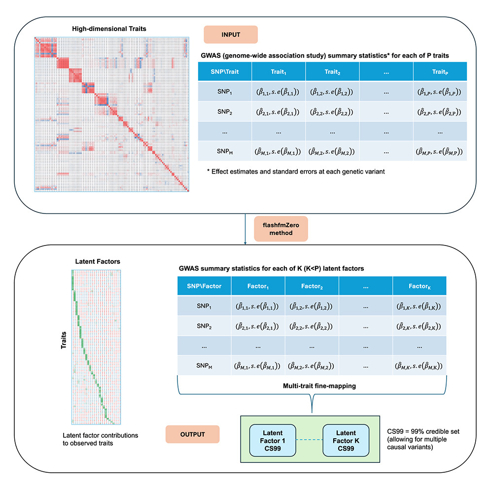 Graphical illustration of high dimensional traits using flashfmZero method