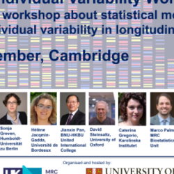 Event graphic for Within-individual Variability Workshop