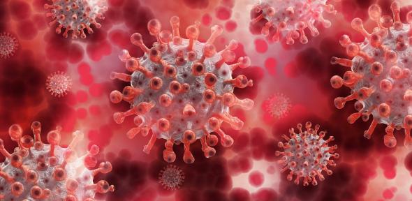 Illustration of coronavirus Illustration of coronavirus