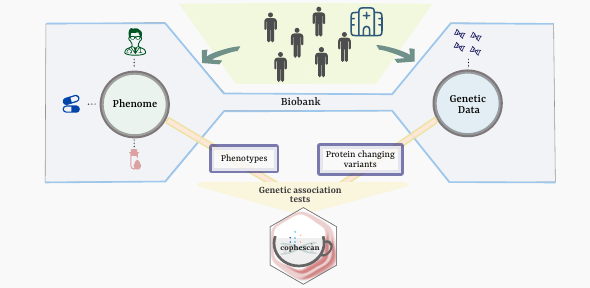Infographic illustrating new CoPheScan method Infographic illustrating new CoPheScan method